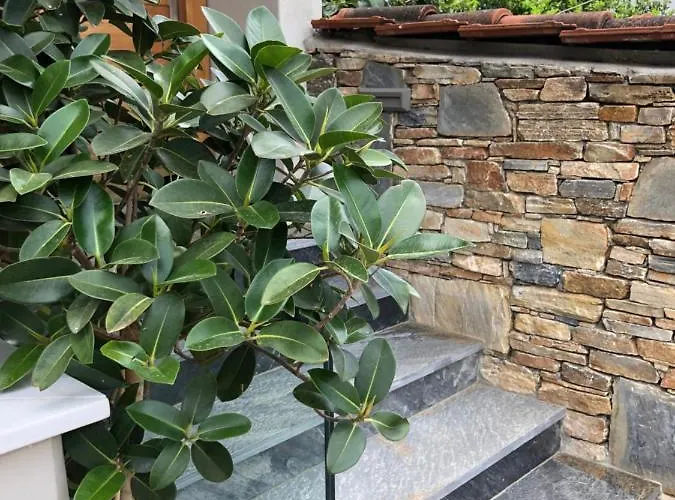 Vanessa House Luxury דירה